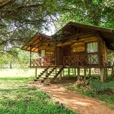 Eighth Wonder Resort Sigiriya Ngoại thất bức ảnh