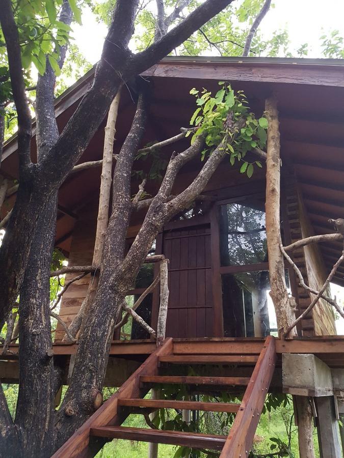 Eighth Wonder Resort Sigiriya Ngoại thất bức ảnh