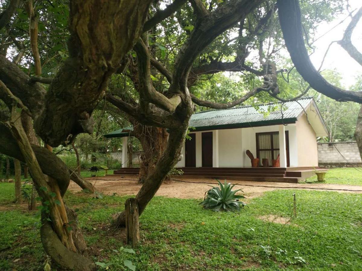 Eighth Wonder Resort Sigiriya Ngoại thất bức ảnh