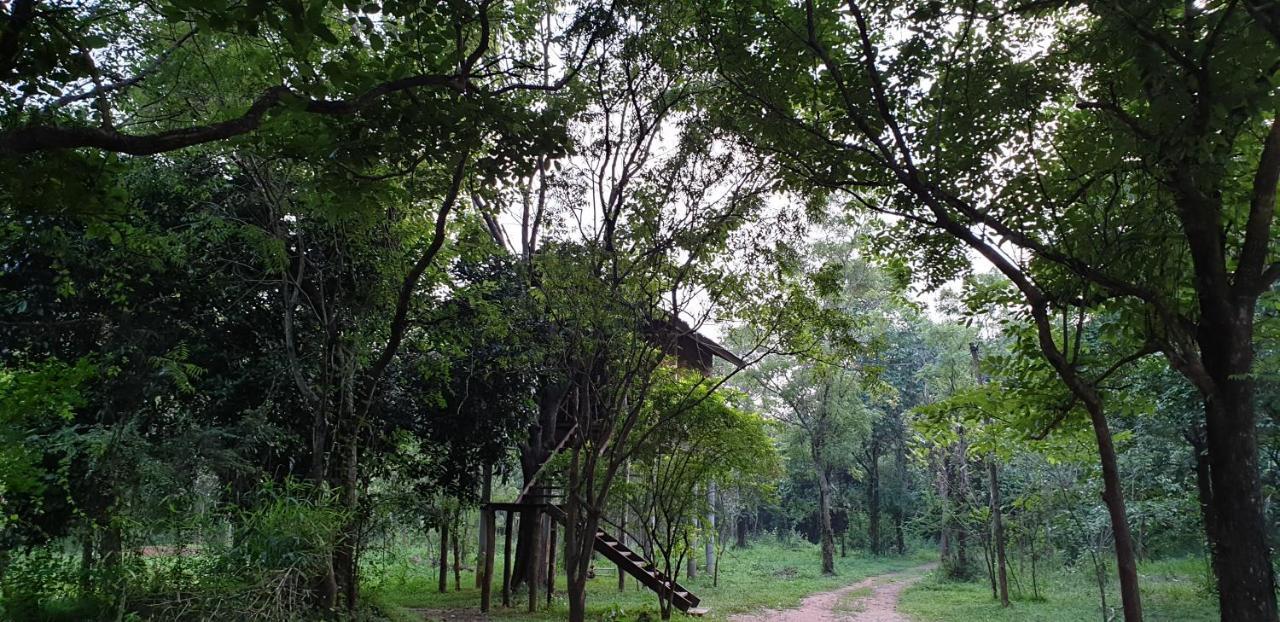 Eighth Wonder Resort Sigiriya Ngoại thất bức ảnh