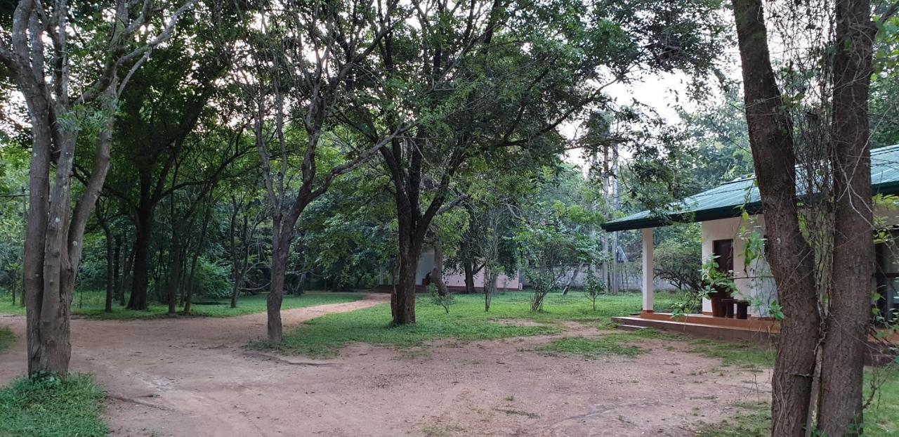Eighth Wonder Resort Sigiriya Ngoại thất bức ảnh