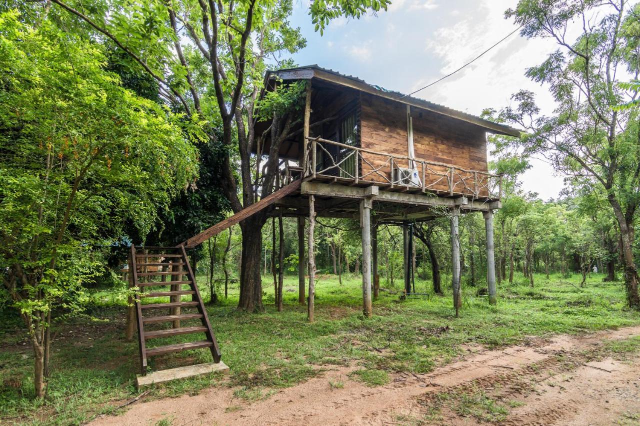 Eighth Wonder Resort Sigiriya Ngoại thất bức ảnh