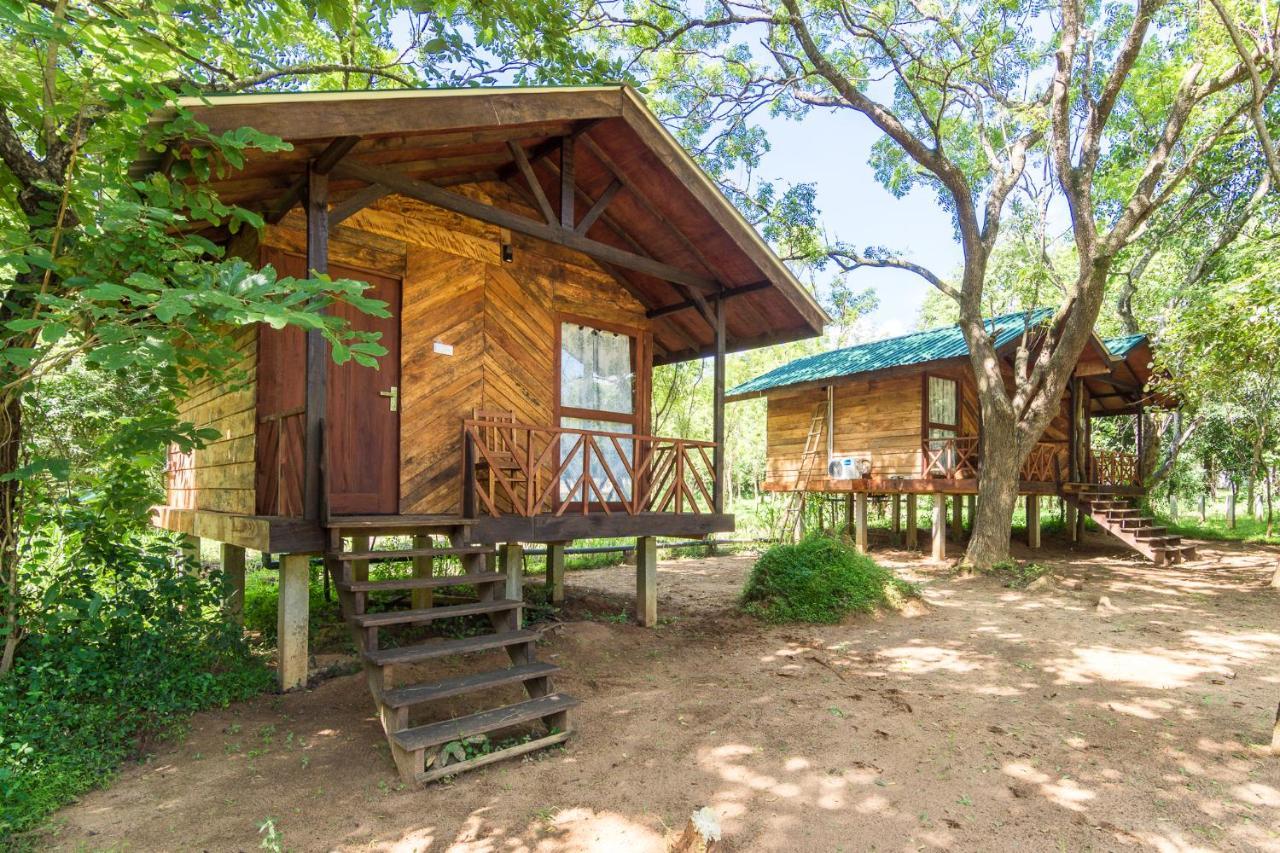 Eighth Wonder Resort Sigiriya Ngoại thất bức ảnh
