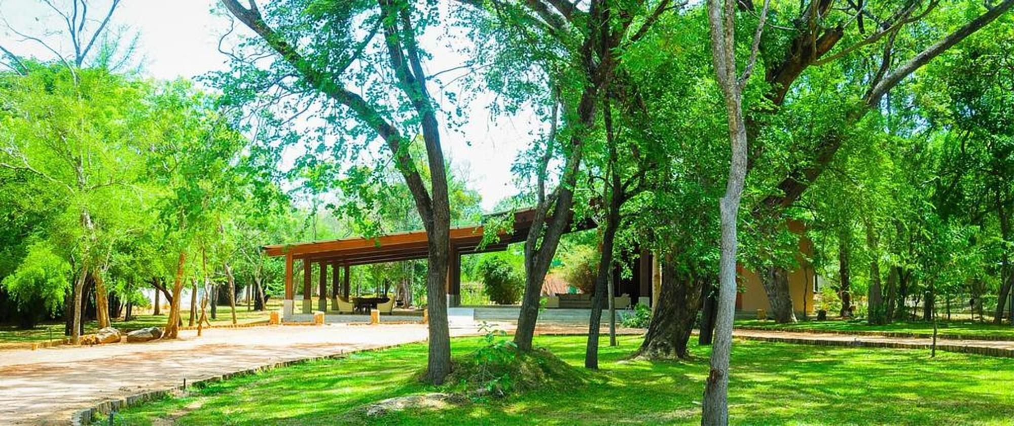 Eighth Wonder Resort Sigiriya Ngoại thất bức ảnh