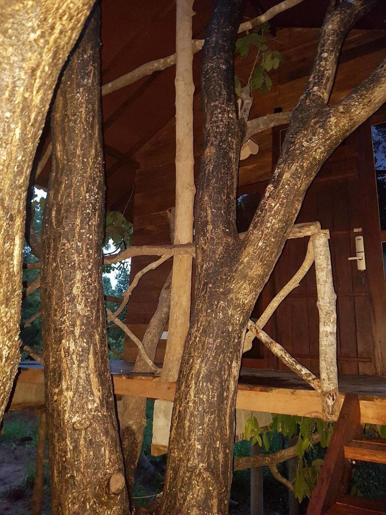 Eighth Wonder Resort Sigiriya Ngoại thất bức ảnh
